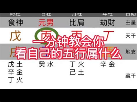 司機 五行|【司機 五行】瞭解司機五行特質！五行適合哪些人開車上路？